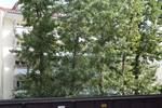 Etagenwohnung Frankfurt am Main Westend-Süd - 2 Zimmer, 55 m&sup2;, 1.790&euro; | Angebot:26683317