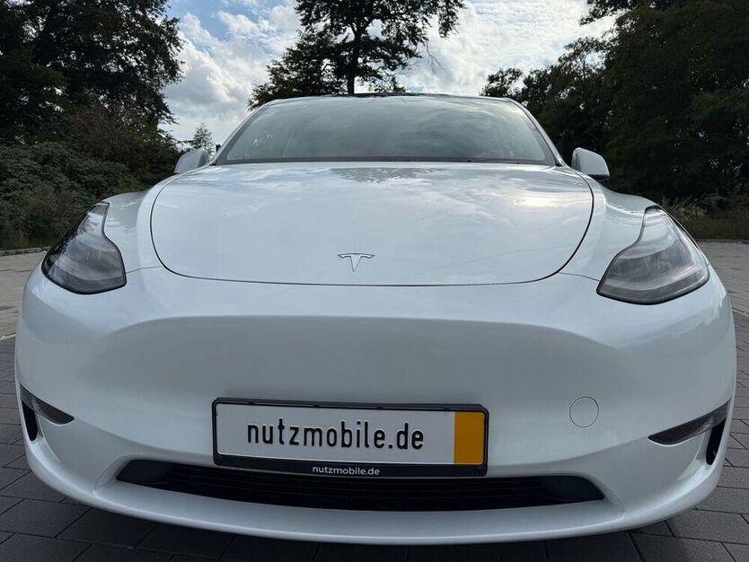Model Y