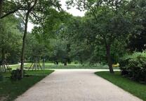 1-Zimmer-Apartment (möbliert) im Westend Bestlage Rothschildpark