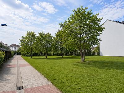 VIEL PLATZ FÜR IHRE ZUKUNFT AUF 734 M² - Grundstück Langen | Angebot:27079057