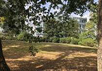 Wohnung zum Mieten in Darmstadt 990 € 78.82 m² Wohnung zum Mieten in Darmstadt 990 € 78.82 m²
