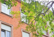 Haus zum Kaufen in Frankfurt am Main 990.000 € 219 m²