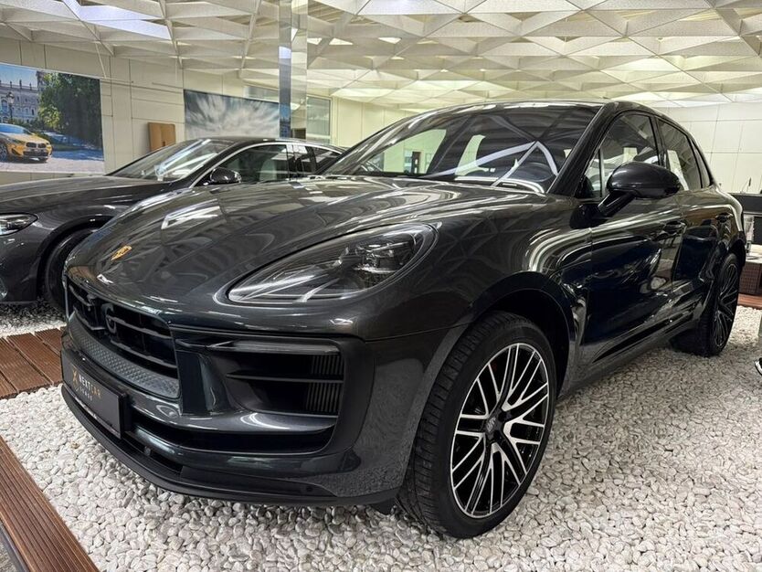 Macan