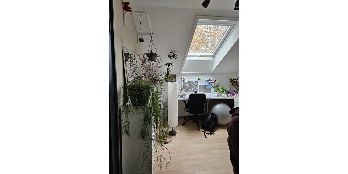 Dachgeschoßwohnung Darmstadt - 2 Zimmer, 55 m&sup2;, 990&euro; | Angebot:26251587