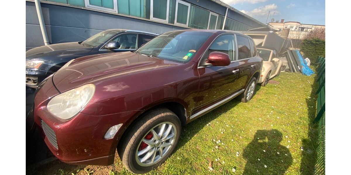 Porsche Cayenne 290.422 km 8.300 &euro; Frankfurt 60594