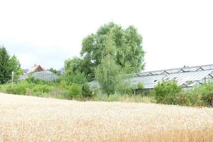 Grundstück zu verkaufen in Habitzheim 181.000 € 475 m²