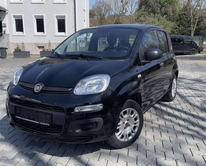 Panda