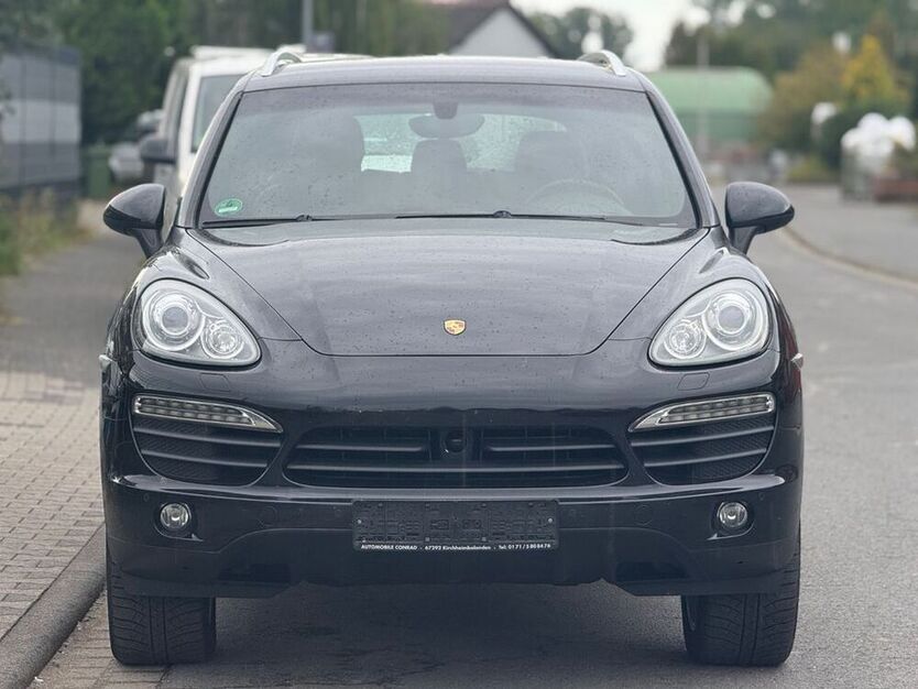 Cayenne