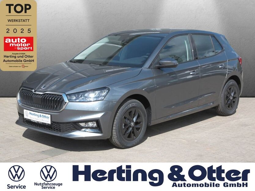 Skoda Fabia 2.500 km 22.790 € Maintal 63477