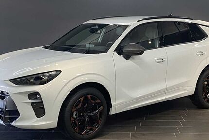 Cupra Terramar 1.071 km 36.829 € Offenbach 63069