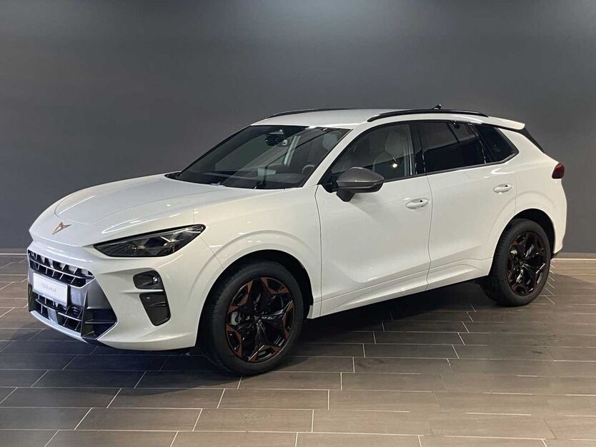 Cupra Terramar 1.071 km 36.829 € Offenbach 63069