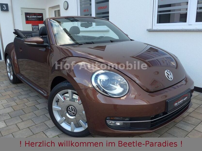 Beetle
