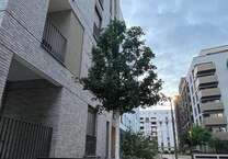 Wohnung zum Mieten in Frankfurt am Main 1.850 € 87.18 m²