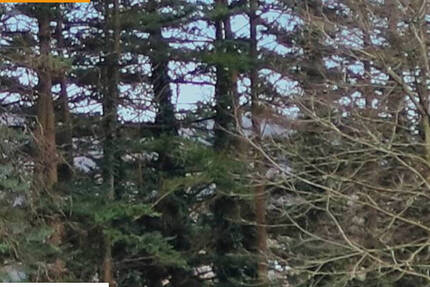 Haus Mömbris-Niedersteinbach Neuses - 7 Zimmer, 220 m&sup2;, 1.450.000&euro; | Angebot:25678084