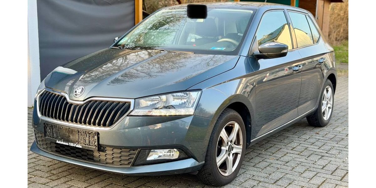 Skoda Fabia 130.000 km 7.500 &euro; Bruchköbel 63486