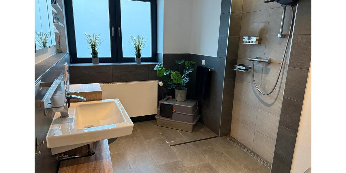 Erdgeschoßwohnung Maintal - 2 Zimmer, 50 m&sup2;, 850&euro; | Angebot:26241356