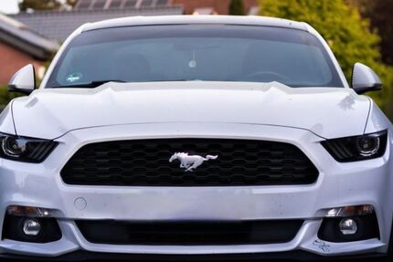 Ford Mustang 90.000 km 27.800 &euro; Wehrheim 61273