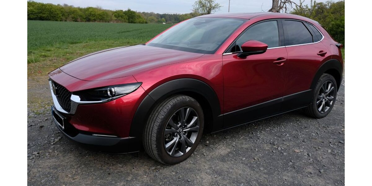 Mazda CX-30 27.500 km 27.900 &euro; Mühlheim 63165