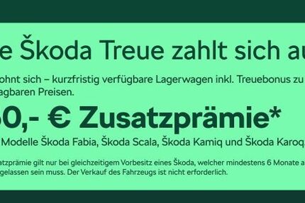 Skoda Fabia 4.500 km 22.480 &euro; Frankfurt 60435