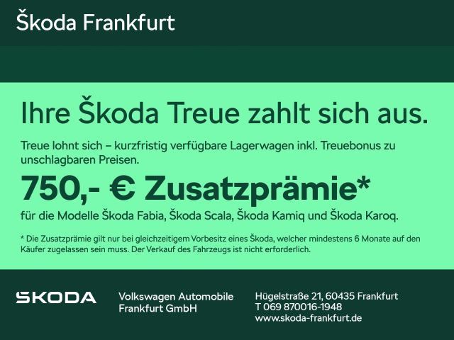 Skoda Fabia 4.500 km 22.480 &euro; Frankfurt 60435