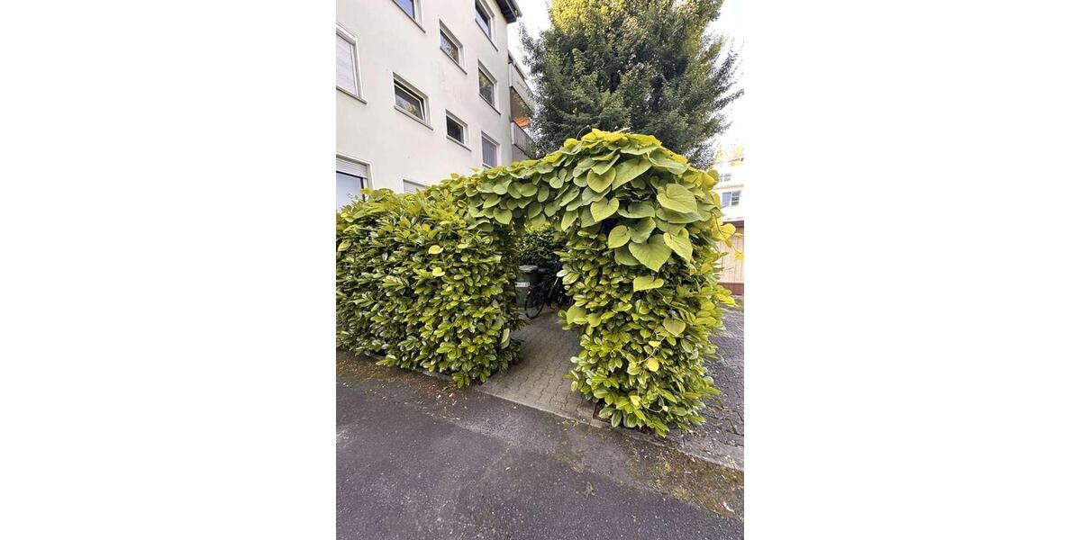 Etagenwohnung Frankfurt am Main Ginnheim - 1 Zimmer, 35 m&sup2;, 175.000&euro; | Angebot:27016009