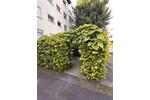 Etagenwohnung Frankfurt am Main Ginnheim - 1 Zimmer, 35 m&sup2;, 175.000&euro; | Angebot:27016009