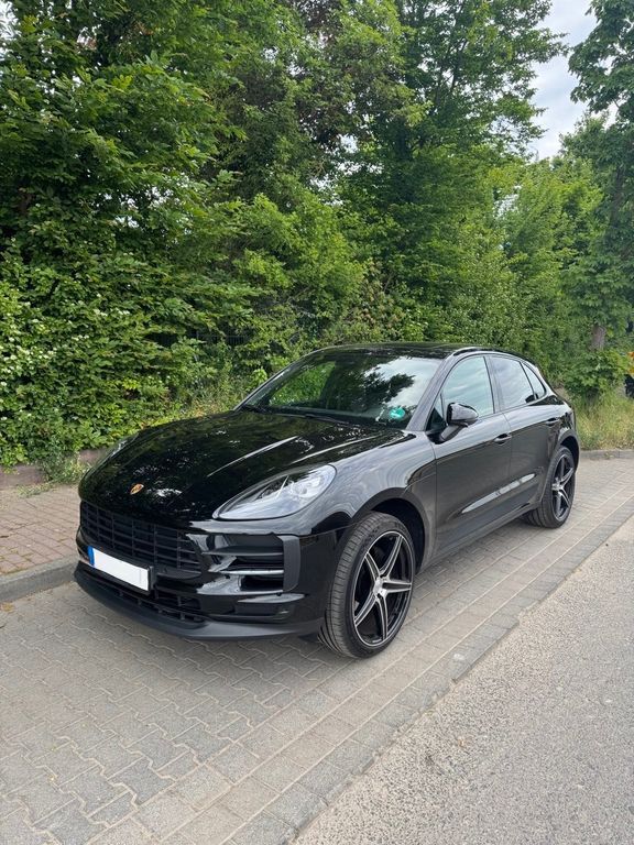 Macan