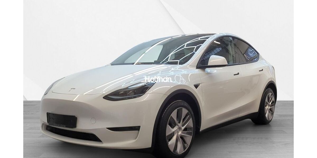 Tesla Model Y 93.966 km 30.095 &euro; Eschborn 65760