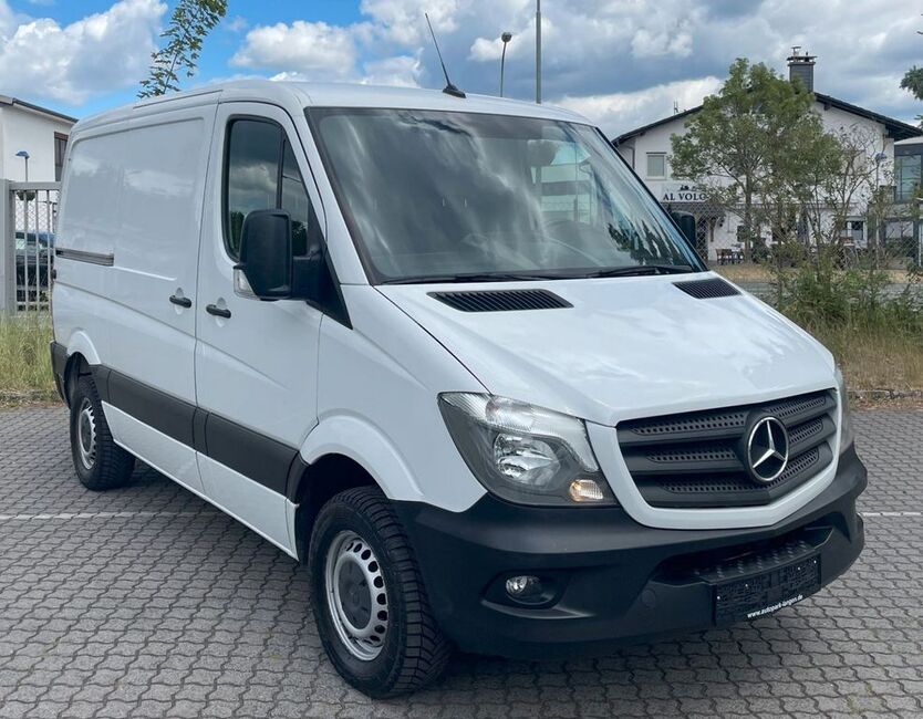Sprinter