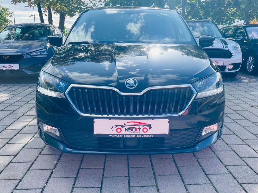 Skoda Fabia 88.000 km 12.199 € Flörsheim 65439