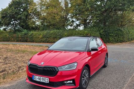 Skoda Fabia 50.000 km 17.800 &euro; Rodgau 63110