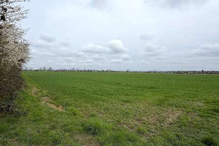 Grundstück Rodgau - 27.500&euro; | Angebot:26364417