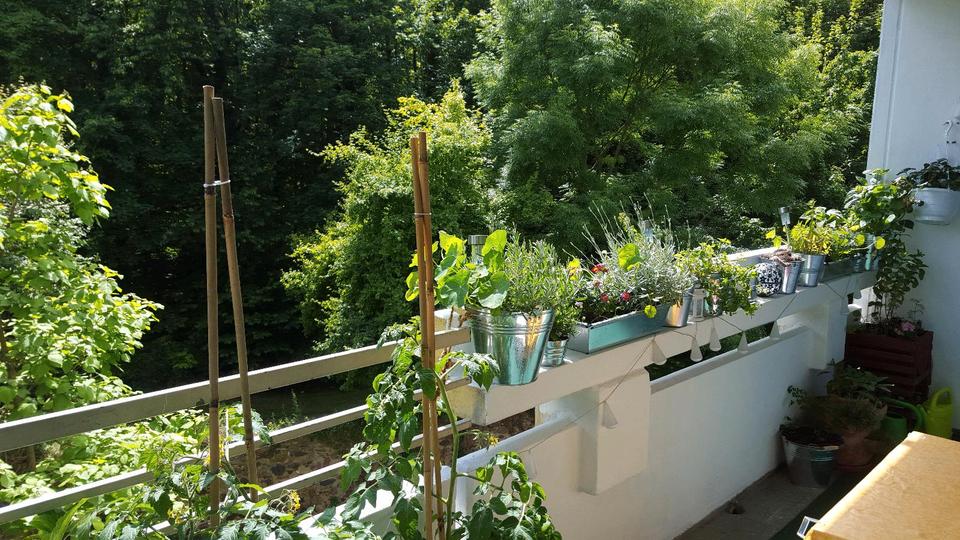 Etagenwohnung Groß-Gerau Gerau - 3 Zimmer, 86 m&sup2;, 250.000&euro; | Angebot:25280428