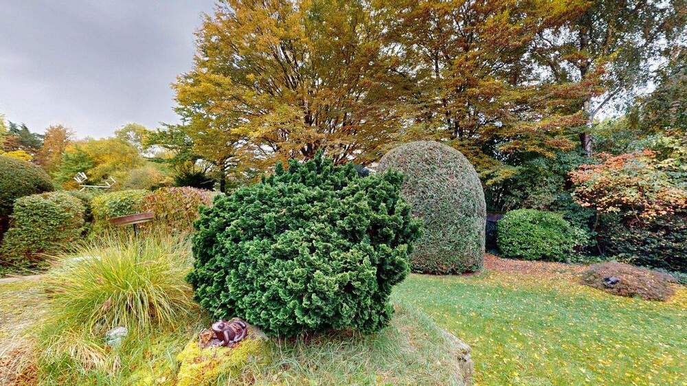 Mehrfamilienhaus, Wohnhaus Frankfurt am Main Eschersheim - 8 Zimmer, 254 m&sup2;, 770.000&euro; | Angebot:25663788