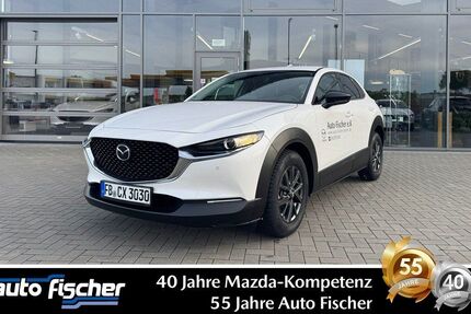 Mazda CX-30 3.000 km 28.990 &euro; Karben 61184