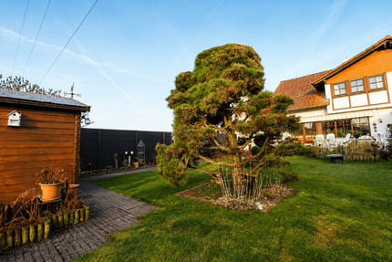 Haus Babenhausen - 4 Zimmer, 120 m&sup2;, 498.000&euro; | Angebot:26996395