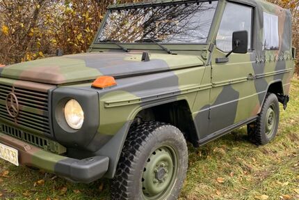 Mercedes-Benz G 250 80.000 km 32.500 &euro; Neu-Anspach 61267