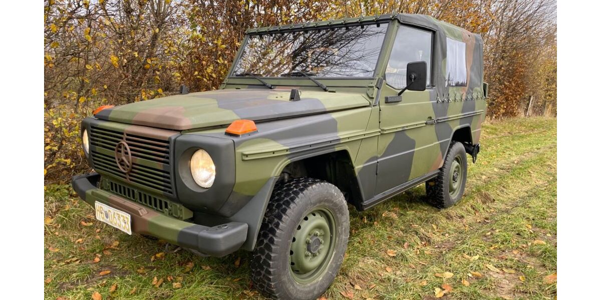 Mercedes-Benz G 250 80.000 km 32.500 &euro; Neu-Anspach 61267