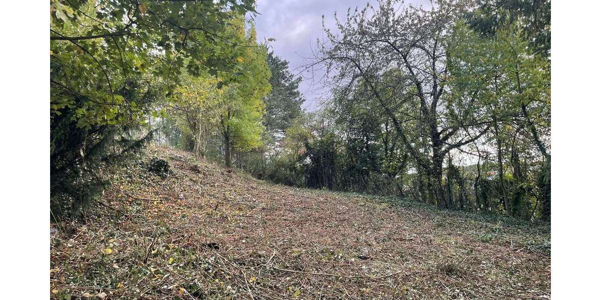 Grundstück zu verkaufen in Altenmittlau 120.000 € 464 m² zimmer