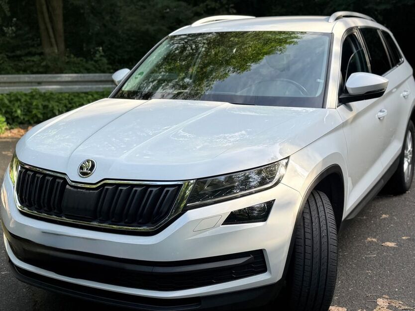 Skoda Kodiaq 172.000 km 21.250 € Eppstein 65817