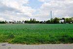 Architektenbungalow + Einliegerwohnung + separate Büroeinheit in Feldrandlage von DA-Arheilgen - Bungalow Darmstadt-Arheilgen Darmstadt/Vororte | Angebot:26440066