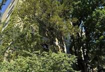 Rarität direkt am Bethmannpark mit eigenem Stellplatz