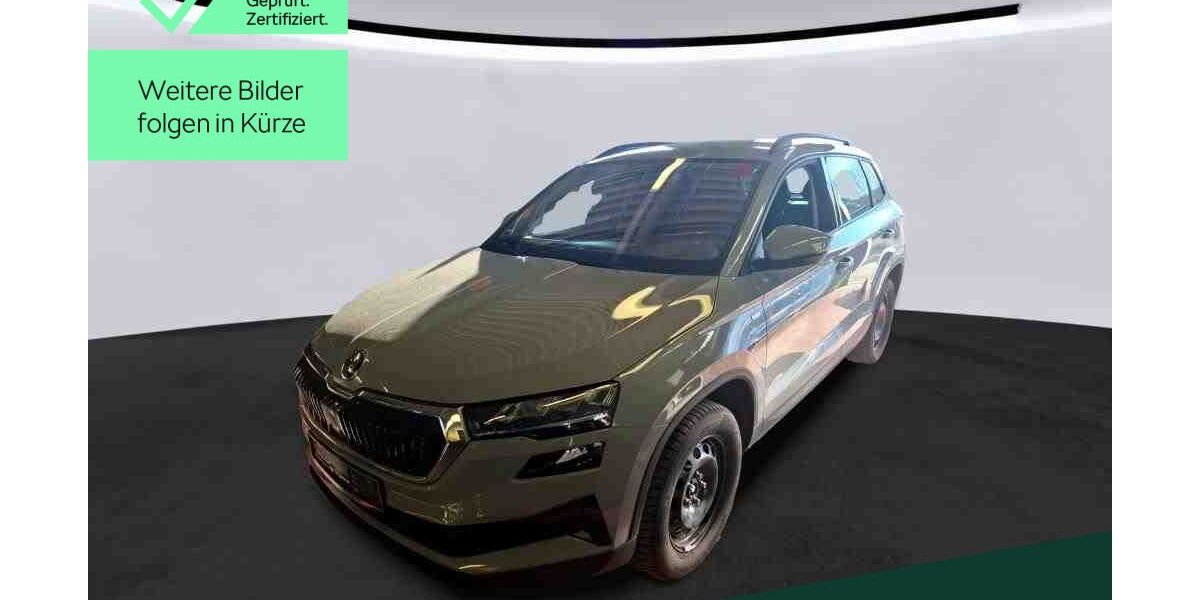 Skoda Karoq 53.800 km 26.449 &euro; Mühlheim 63165
