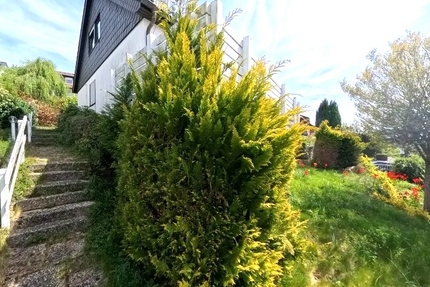 Baugrundstück in absoluter Premium Lage in Eppstein Vockenhausen provisionsfreier Privatverkauf zimmer