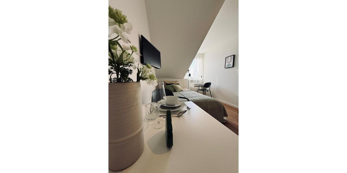 Etagenwohnung Darmstadt Darmstadt-Nord - 1 Zimmer, 18 m&sup2;, 650&euro; | Angebot:26108977