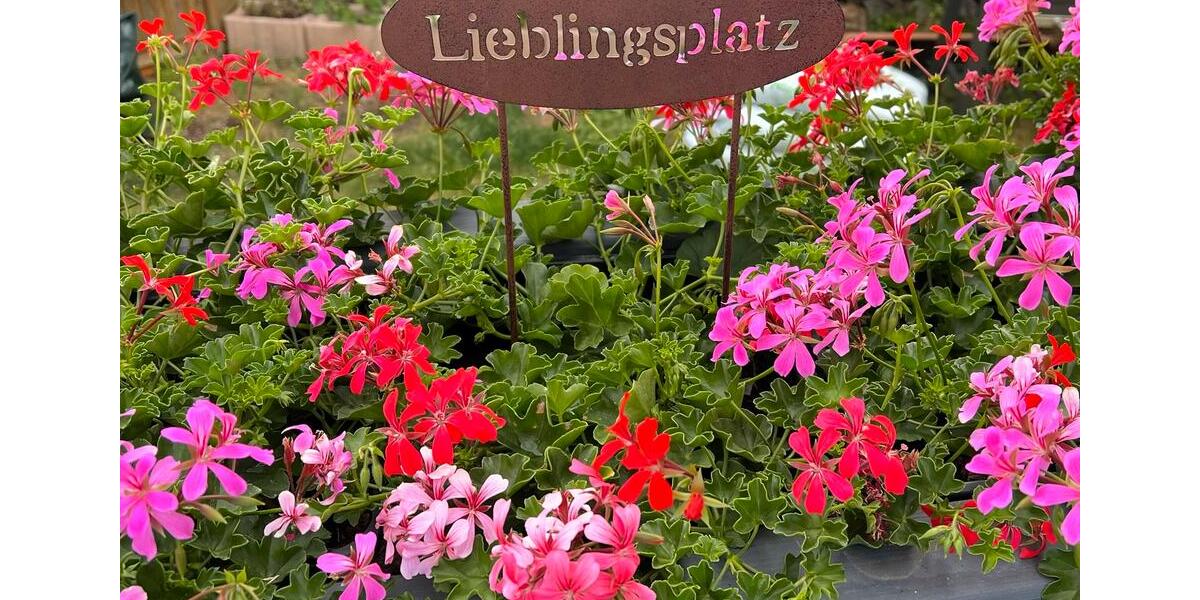 Bungalow Heusenstamm - 5 Zimmer, 156 m&sup2;, 825.000&euro; | Angebot:26544993
