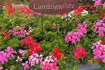 Bungalow Heusenstamm - 5 Zimmer, 156 m&sup2;, 825.000&euro; | Angebot:26544993