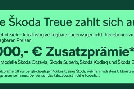 Skoda Superb 12.000 km 40.480 &euro; Frankfurt 60435