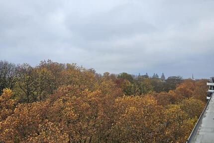 3-Zimmer Wohnung im Herzen von Aschaffenburg zu Vermieten zimmer