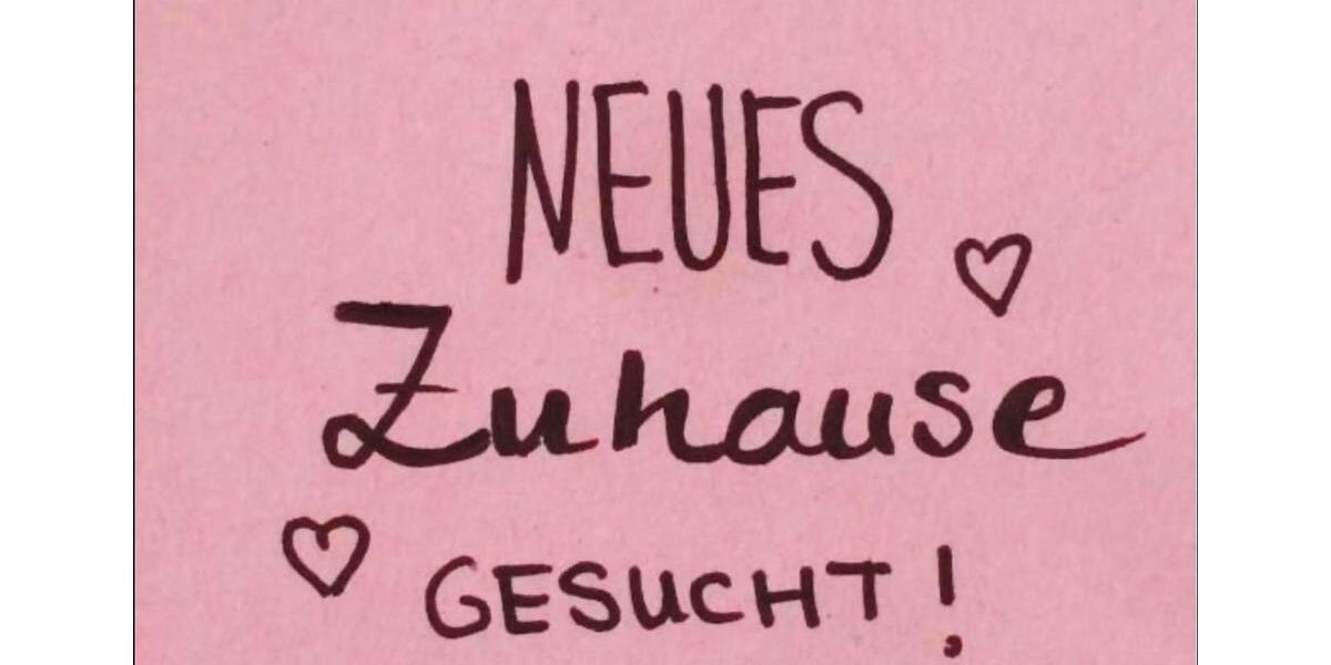 Etagenwohnung Darmstadt Bessungen - 2 Zimmer, 45 m&sup2;, 900&euro; | Angebot:25648791